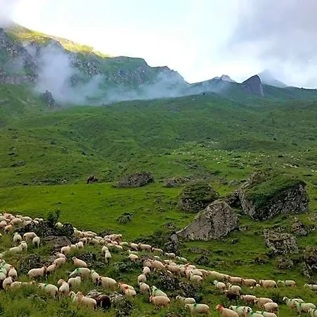 De Montagne Du Plateau De Lhers- Accueil Randonneurs Inn *