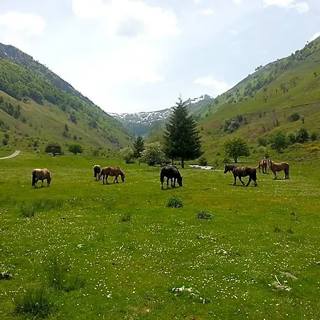 De Montagne Du Plateau De Lhers- Accueil Randonneurs *
