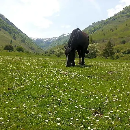 De Montagne Du Plateau De Lhers- Accueil Randonneurs Accous