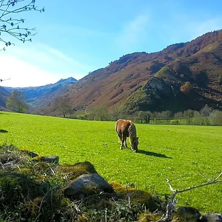De Montagne Du Plateau De Lhers- Accueil Randonneurs Inn