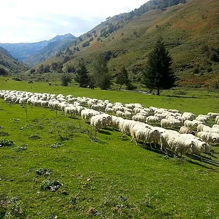 De Montagne Du Plateau De Lhers- Accueil Randonneurs Inn *