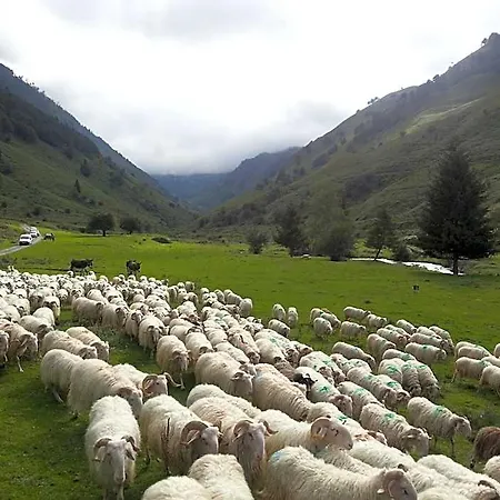 Inn De Montagne Du Plateau De Lhers- Accueil Randonneurs *