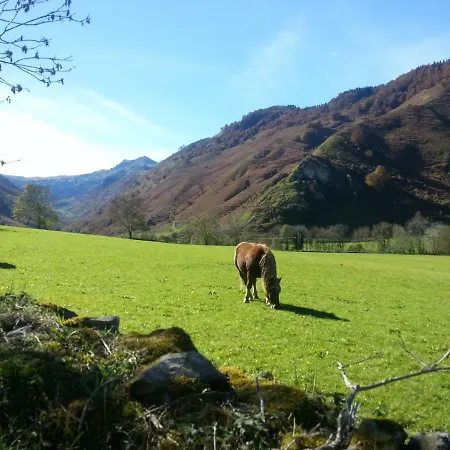 De Montagne Du Plateau De Lhers- Accueil Randonneurs * Accous