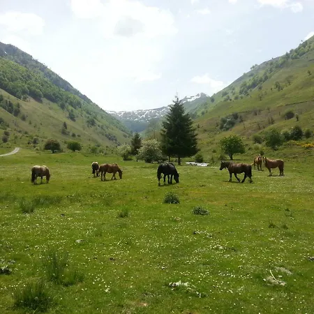 Zajazd De Montagne Du Plateau De Lhers- Accueil Randonneurs *