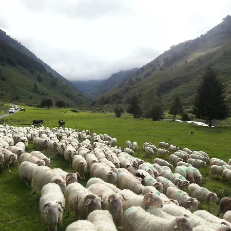 De Montagne Du Plateau De Lhers- Accueil Randonneurs Accous